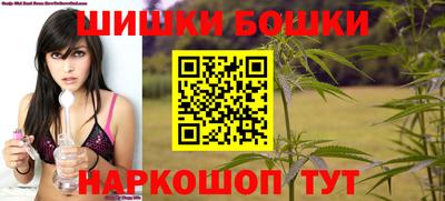 стаф Лесосибирск