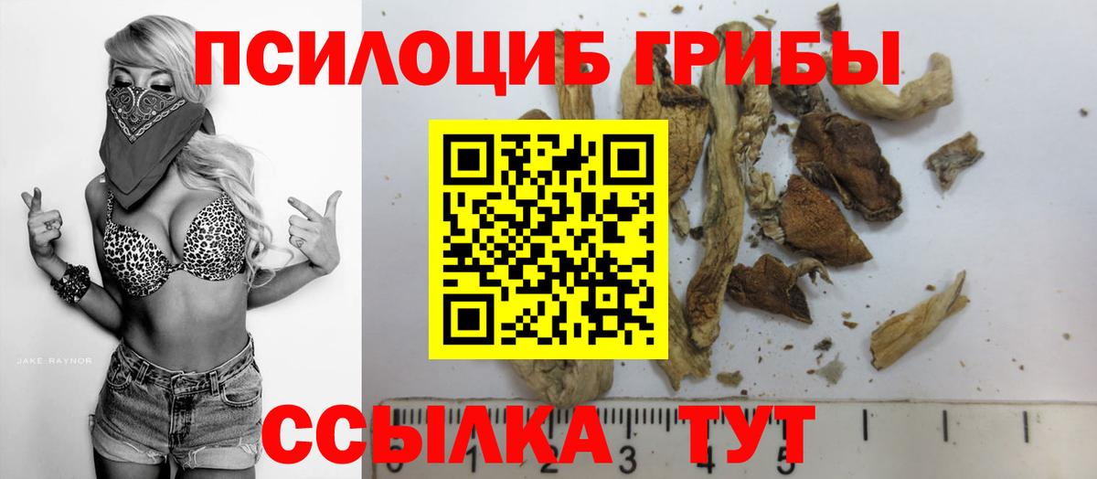 Вязьма  Галлюциногенные грибы Psilocybe  Вход с VPN 